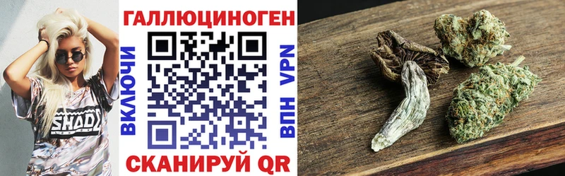 Псилоцибиновые грибы ЛСД Тайга